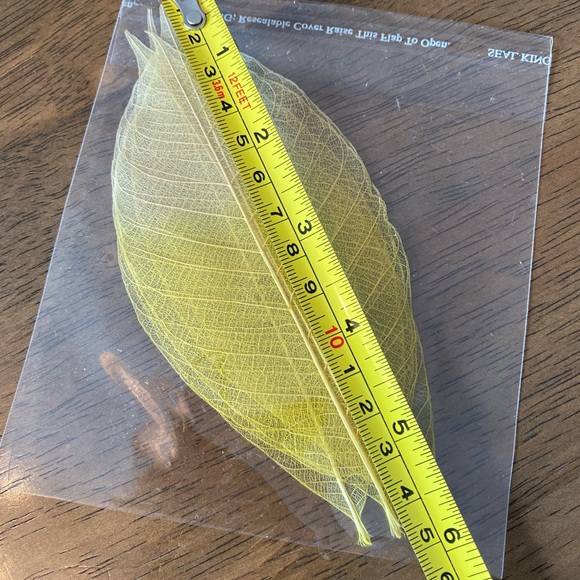 ⚠️add on +$1⚠️Dried Leaves, Rustic Decor 5pcs per pack - Picture 6 of 6